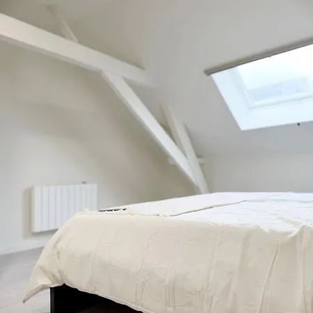 Private In 5br & 1lr Shared Aprt, Near Center With Kitchen & Wifi