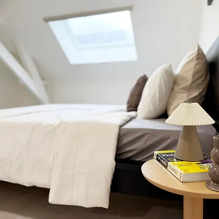 Private In 5br Shared Aprt, Near Center With Wifi Apartment Ghent