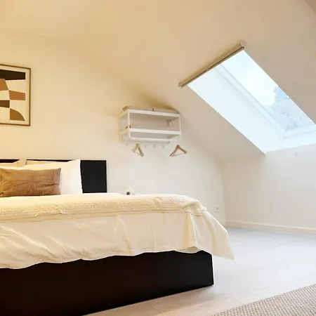Private In 5br Shared Aprt, Near Center With Wifi Apartment