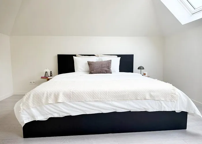 Private In 5br & 1lr Shared Aprt, Near Center With Kitchen & Wifi