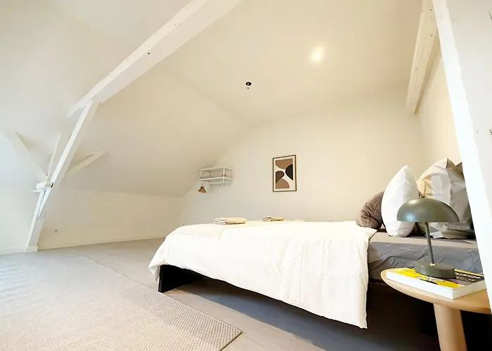 Private In 5br & 1lr Shared Aprt, Near Center With Kitchen & Wifi *