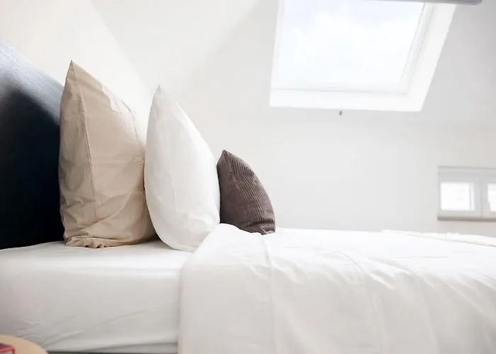 Private In 5br & 1lr Shared Aprt, Near Center With Kitchen & Wifi *