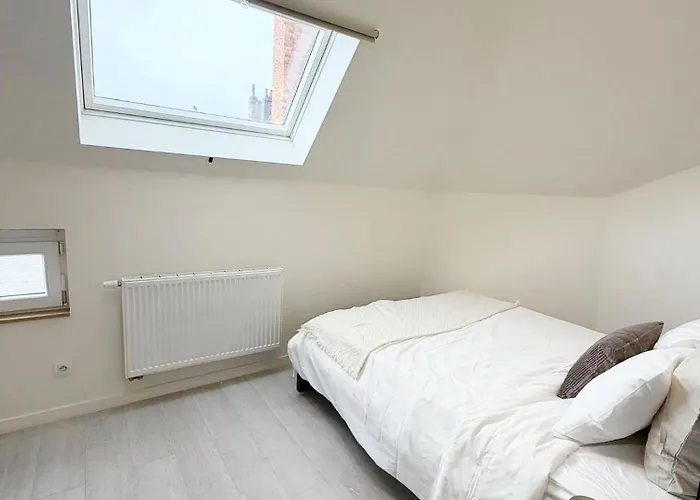 Private In 5br & 1lr Shared Aprt, Near Center With Kitchen & Wifi *