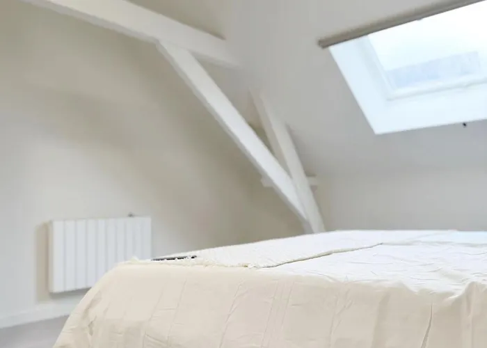 Private In 5br & 1lr Shared Aprt, Near Center With Kitchen & Wifi