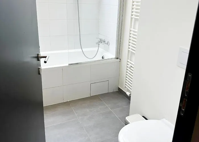 Private In 5br & 1lr Shared Aprt, Near Center With Kitchen & Wifi *